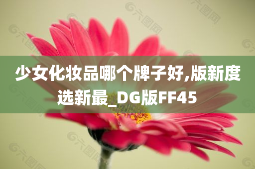 少女化妆品哪个牌子好,版新度选新最_DG版FF45