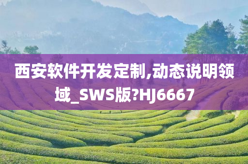 西安软件开发定制,动态说明领域_SWS版?HJ6667