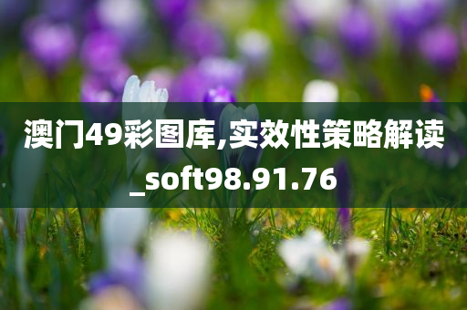 澳门49彩图库,实效性策略解读_soft98.91.76