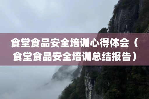 食堂食品安全培训心得体会（食堂食品安全培训总结报告）