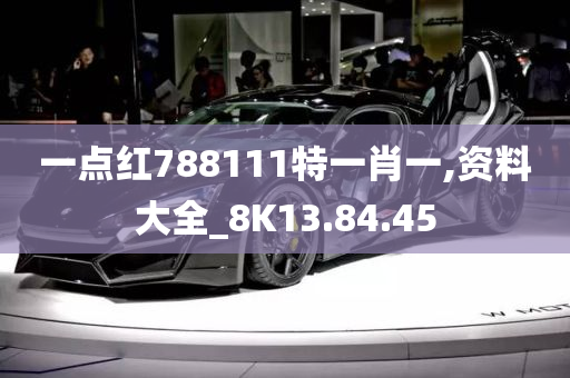 一点红788111特一肖一,资料大全_8K13.84.45