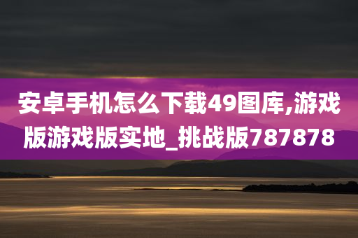 安卓手机怎么下载49图库,游戏版游戏版实地_挑战版787878