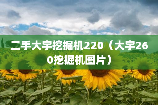 二手大宇挖掘机220（大宇260挖掘机图片）