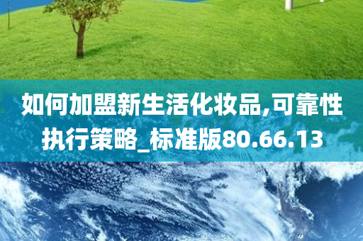 如何加盟新生活化妆品,可靠性执行策略_标准版80.66.13