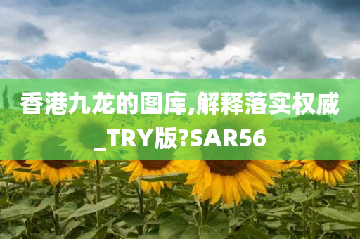 香港九龙的图库,解释落实权威_TRY版?SAR56