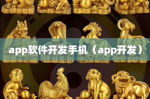 app软件开发手机（app开发）