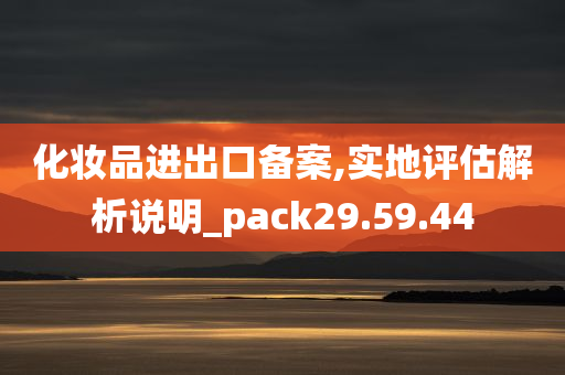 化妆品进出口备案,实地评估解析说明_pack29.59.44