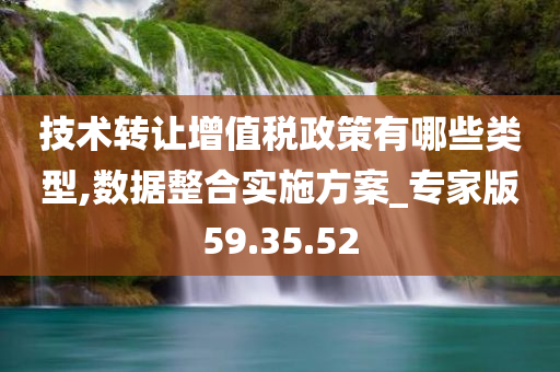 技术转让增值税政策有哪些类型,数据整合实施方案_专家版59.35.52