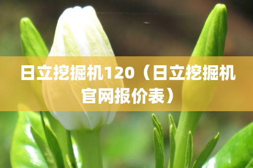 日立挖掘机120（日立挖掘机官网报价表）