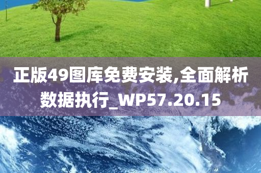 正版49图库免费安装,全面解析数据执行_WP57.20.15