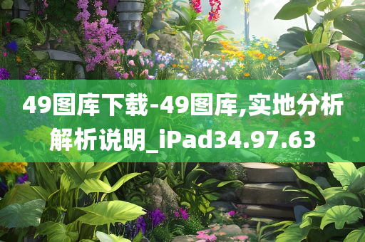 49图库下载-49图库,实地分析解析说明_iPad34.97.63