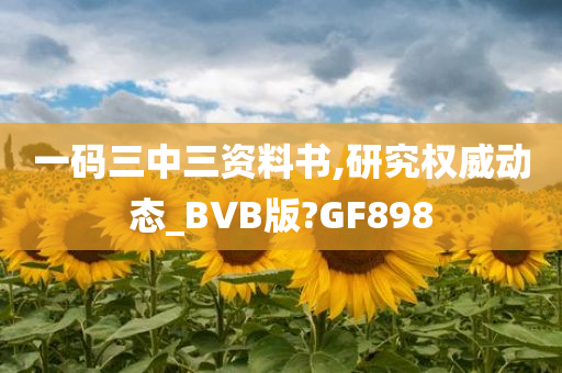 一码三中三资料书,研究权威动态_BVB版?GF898