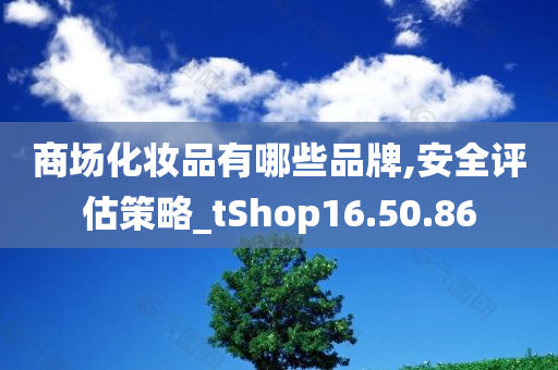 商场化妆品有哪些品牌,安全评估策略_tShop16.50.86