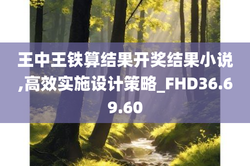 王中王铁算结果开奖结果小说,高效实施设计策略_FHD36.69.60