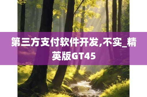 第三方支付软件开发,不实_精英版GT45