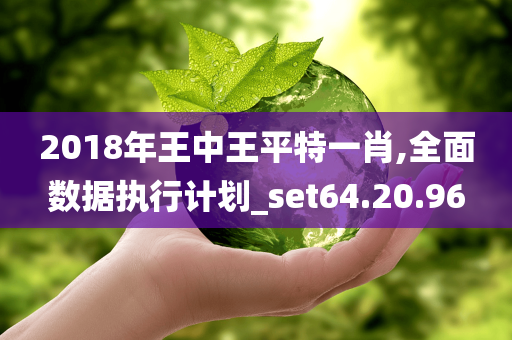 2018年王中王平特一肖,全面数据执行计划_set64.20.96