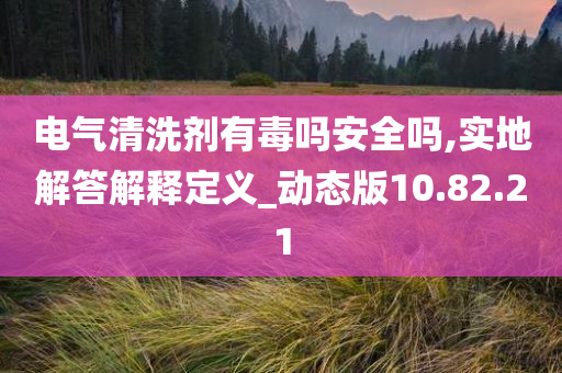 电气清洗剂有毒吗安全吗,实地解答解释定义_动态版10.82.21