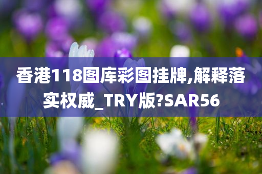 香港118图库彩图挂牌,解释落实权威_TRY版?SAR56