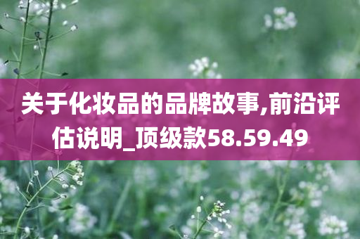 关于化妆品的品牌故事,前沿评估说明_顶级款58.59.49