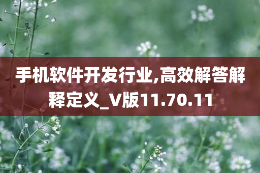 手机软件开发行业,高效解答解释定义_V版11.70.11