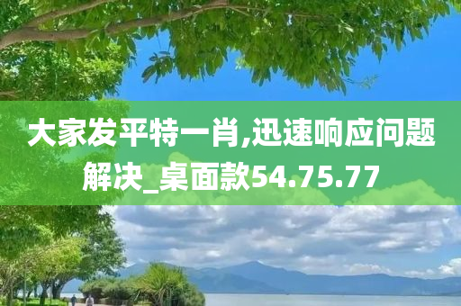 大家发平特一肖,迅速响应问题解决_桌面款54.75.77