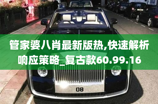 管家婆八肖最新版热,快速解析响应策略_复古款60.99.16