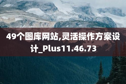 49个图库网站,灵活操作方案设计_Plus11.46.73