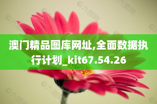 澳门精品图库网址,全面数据执行计划_kit67.54.26