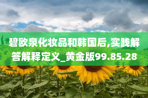 碧欧泉化妆品和韩国后,实践解答解释定义_黄金版99.85.28