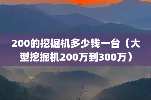 200的挖掘机多少钱一台（大型挖掘机200万到300万）