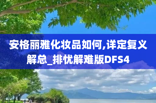 安格丽雅化妆品如何,详定复义解总_排忧解难版DFS4