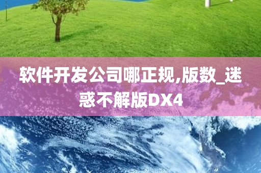 软件开发公司哪正规,版数_迷惑不解版DX4