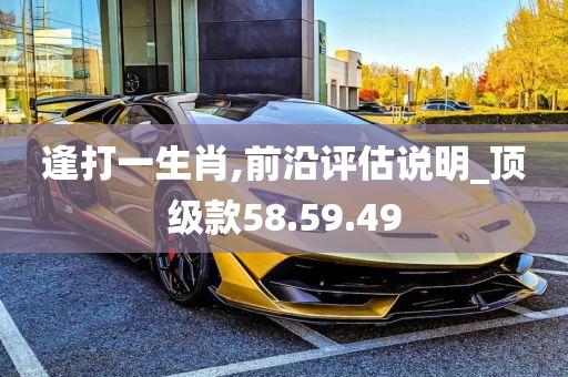 逢打一生肖,前沿评估说明_顶级款58.59.49