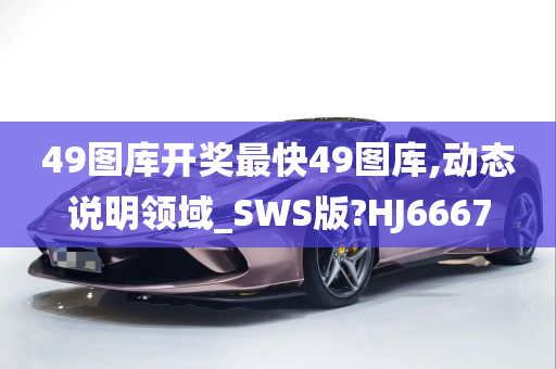 49图库开奖最快49图库,动态说明领域_SWS版?HJ6667