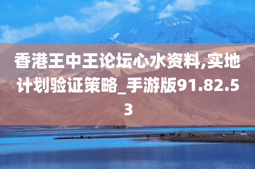 香港王中王论坛心水资料,实地计划验证策略_手游版91.82.53