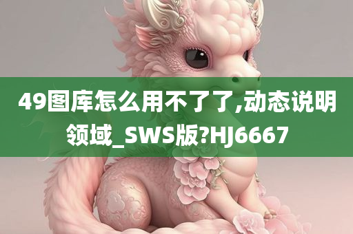 49图库怎么用不了了,动态说明领域_SWS版?HJ6667