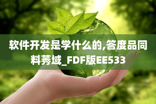 软件开发是学什么的,答度品同料莠域_FDF版EE533