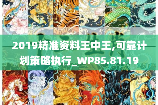 2019精准资料王中王,可靠计划策略执行_WP85.81.19