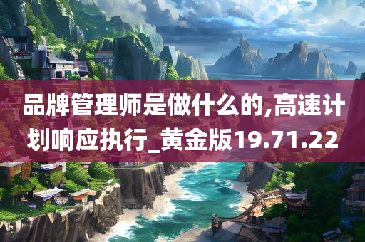 品牌管理师是做什么的,高速计划响应执行_黄金版19.71.22