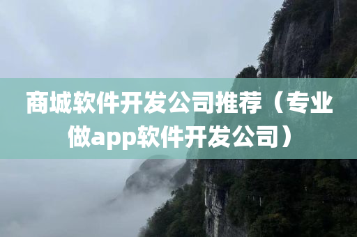 商城软件开发公司推荐（专业做app软件开发公司）