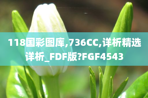 118国彩图库,736CC,详析精选详析_FDF版?FGF4543