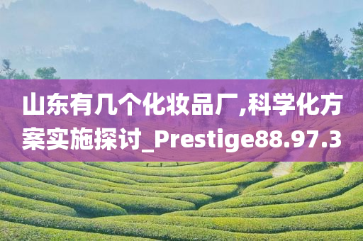 山东有几个化妆品厂,科学化方案实施探讨_Prestige88.97.30