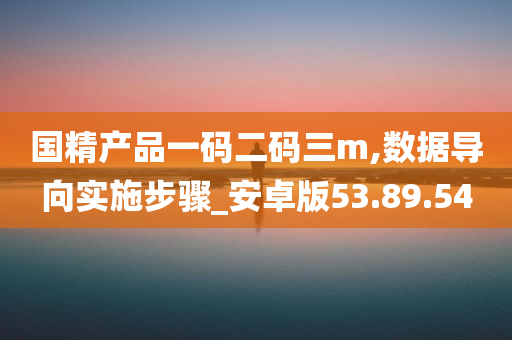 国精产品一码二码三m,数据导向实施步骤_安卓版53.89.54