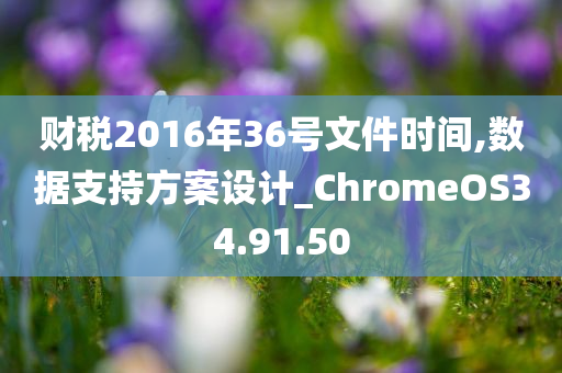 财税2016年36号文件时间,数据支持方案设计_ChromeOS34.91.50