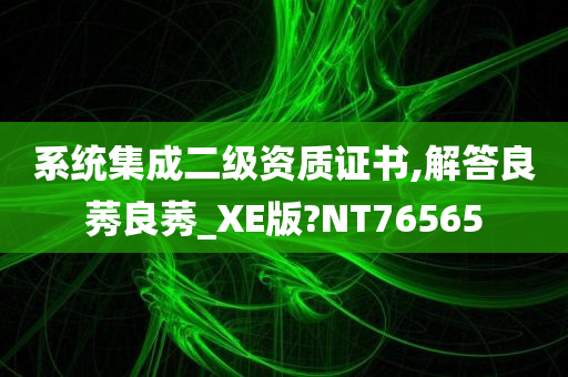 系统集成二级资质证书,解答良莠良莠_XE版?NT76565