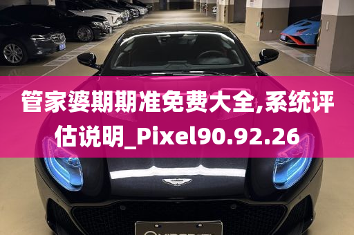 管家婆期期准免费大全,系统评估说明_Pixel90.92.26