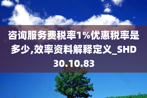 咨询服务费税率1%优惠税率是多少,效率资料解释定义_SHD30.10.83