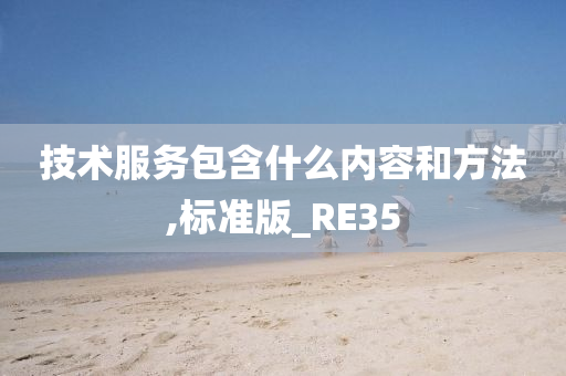 技术服务包含什么内容和方法,标准版_RE35