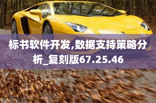 标书软件开发,数据支持策略分析_复刻版67.25.46