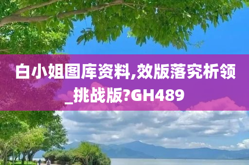 白小姐图库资料,效版落究析领_挑战版?GH489